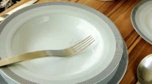 سرویس غذاخوری 28 پارچه مدل سیلور لاینر چینی زرین