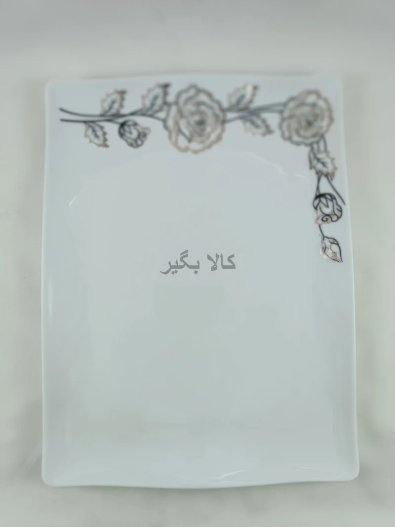 دیس 34 طرح پرستیژ چینی پردیس کاشان