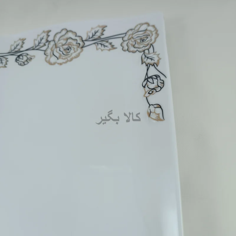دیس 34 طرح پرستیژ چینی پردیس کاشان